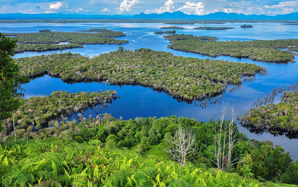 Borneo