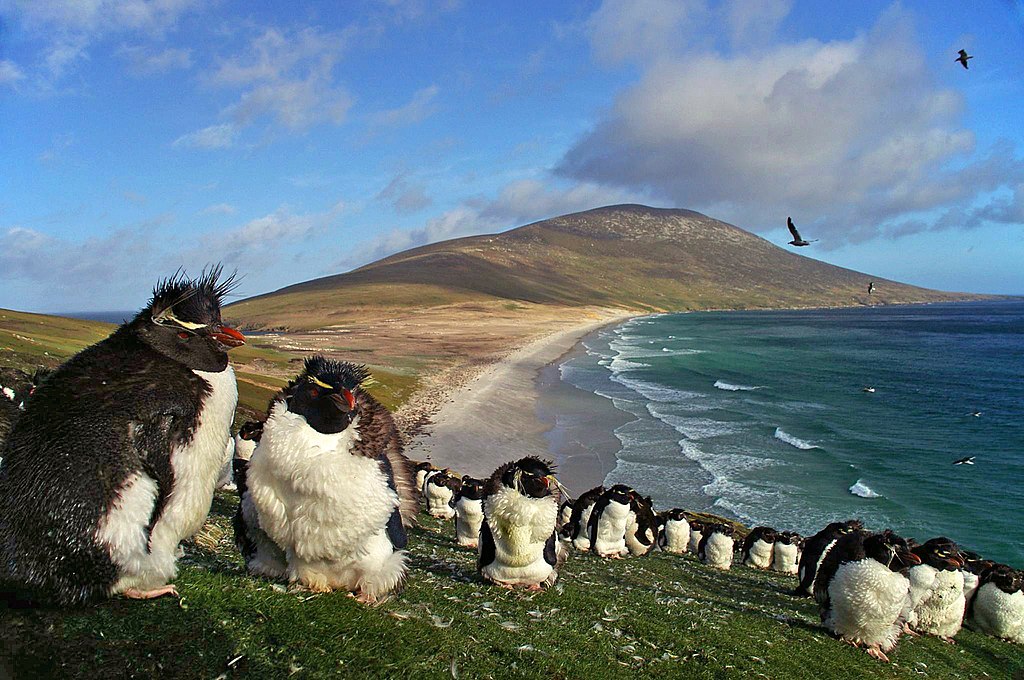 Falkland Islands