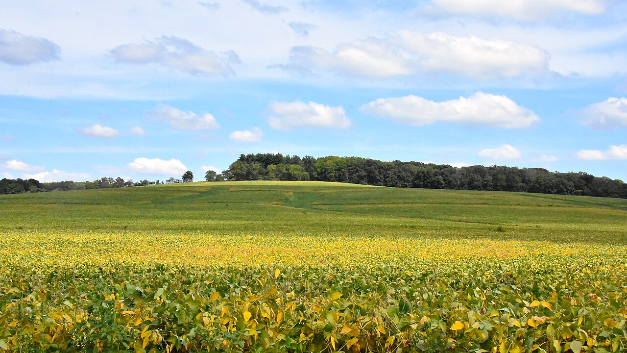 Charles Mound