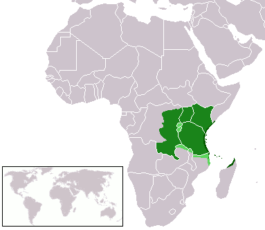 Swahili Language