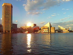 Baltimore Skyline