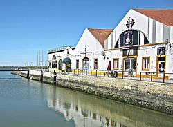 Montijo
