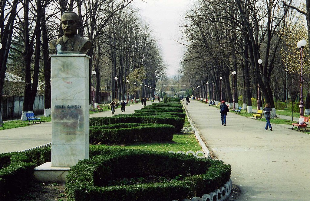 Bacau