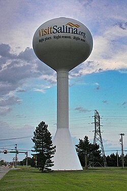 Salina