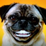 Profile picture of msstanke