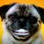 Profile picture of msstanke