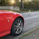 Profile picture of Louie63