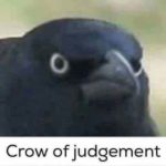 Profile picture of Walldawgsalad