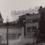 Profile picture of AbuLucas
