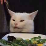 Profile picture of Technoblade