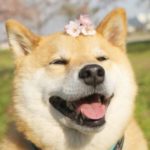 Profile picture of Karolinkahaha