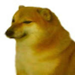 Profile picture of lorisaurus