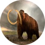 Profile picture of thfump