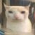 Profile picture of ReptJooJ