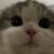 Profile picture of Veikka
