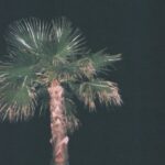 Profile picture of Dom