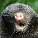 Profile picture of scoffee07