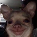 Profile picture of bizarre