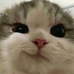 Profile picture of Feodal