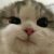 Profile picture of Feodal