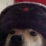 Profile picture of T-69