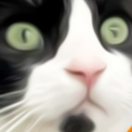 Profile picture of alvacerod