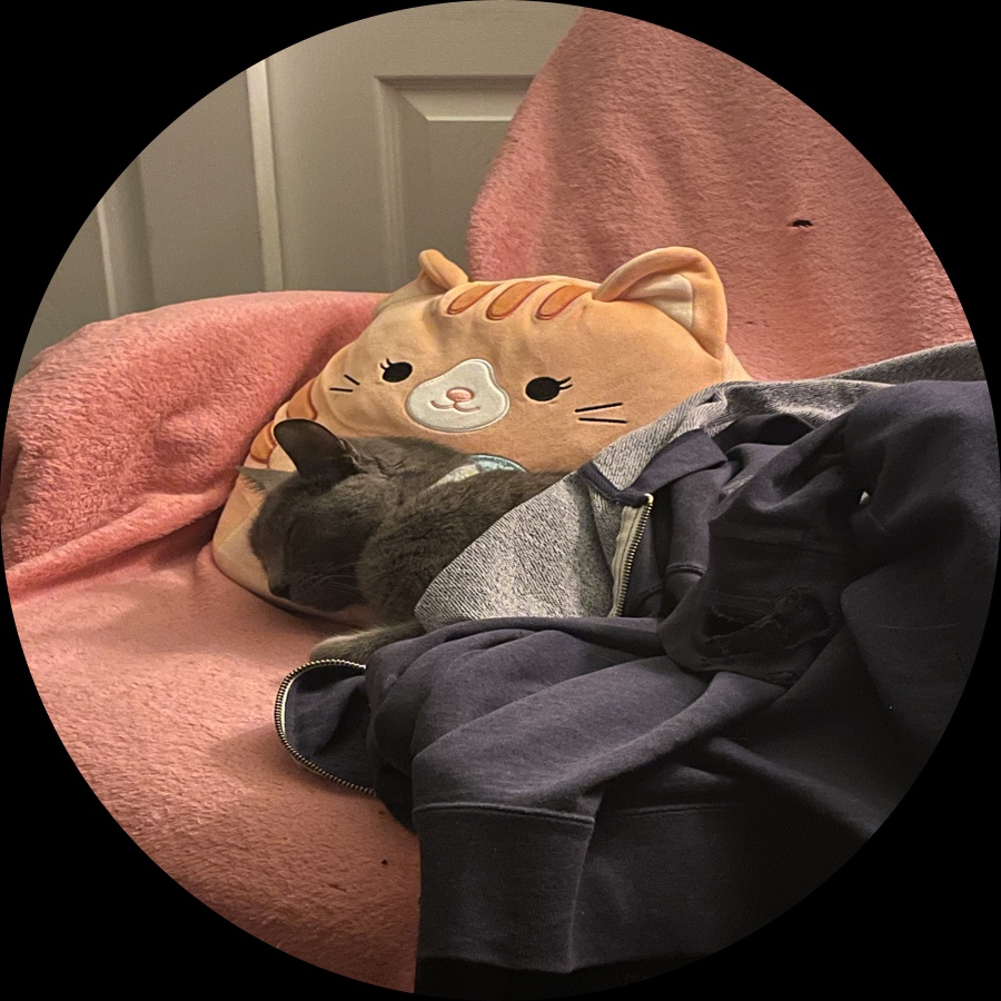 Profile picture of GamerNun