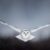 Profile picture of ilwe