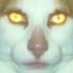 Profile picture of frexey
