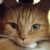 Profile picture of MrsLiberty