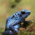 Profile picture of phaguette