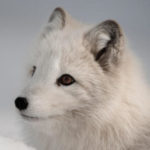 Profile picture of cuwumber