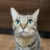 Profile picture of bazl