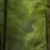 Profile picture of Leafxster