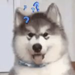 Profile picture of amyyyzzzz71