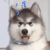 Profile picture of amyyyzzzz71