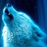 Profile picture of Sythen