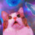 Profile picture of kongabruh11