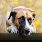 Profile picture of kai.deluca