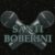 Profile picture of santiboberini