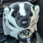 badgythebadger