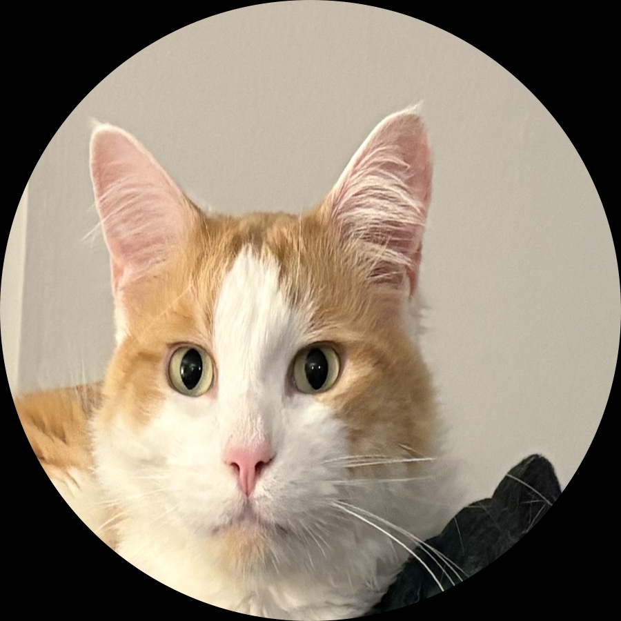 Profile picture of Peter Atma