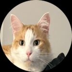 Profile picture of Peter Atma