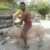 Profile picture of montapuercas