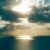 Profile picture of novu725