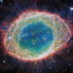 Profile picture of trickadee