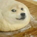 Profile picture of zedasvaca