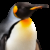 Profile picture of L16HT