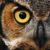 Profile picture of rairock