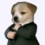 Profile picture of younglizsdive